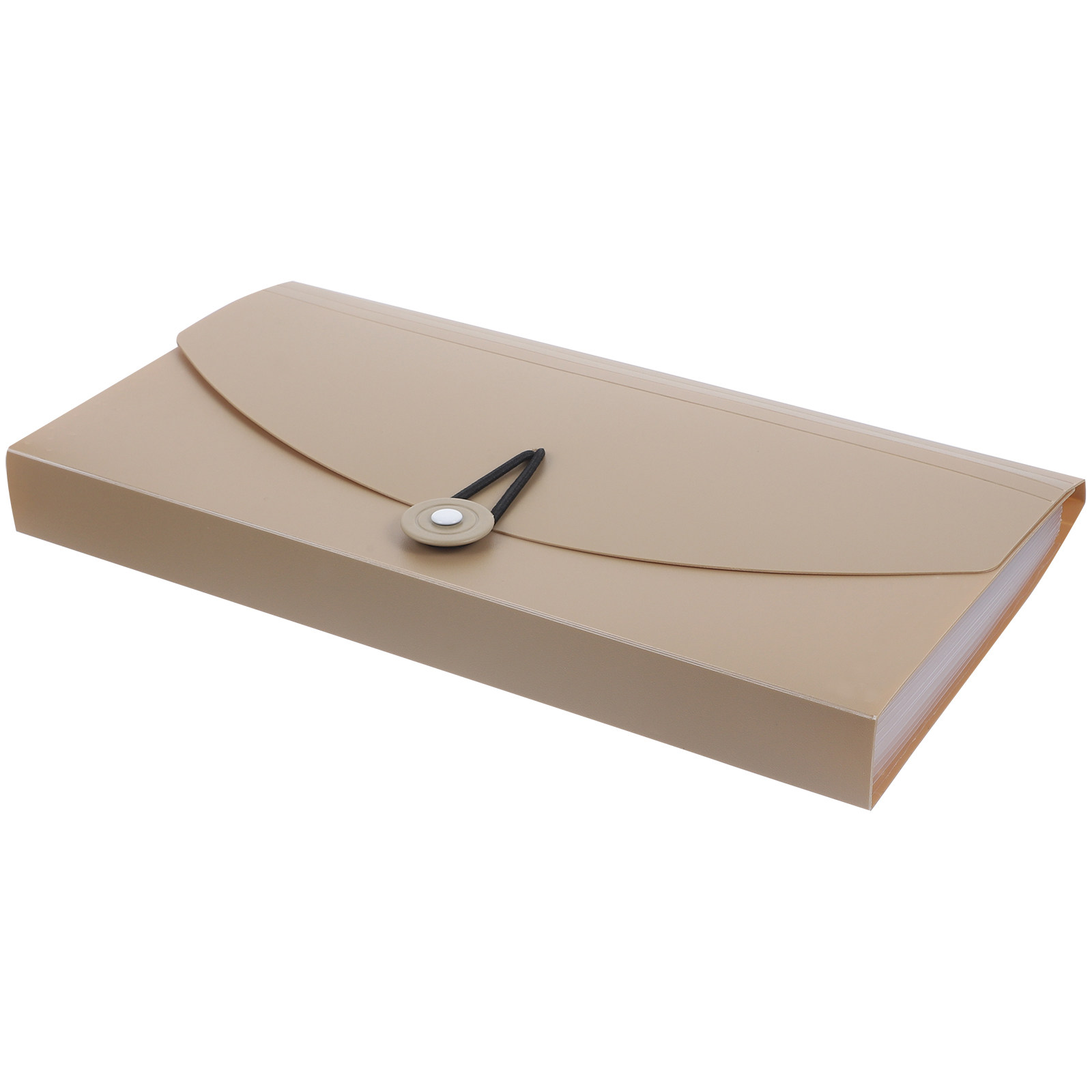 Organizzatore per documenti a  - Expandable Accordion File Folder 13 Pockets recensione e prezzo