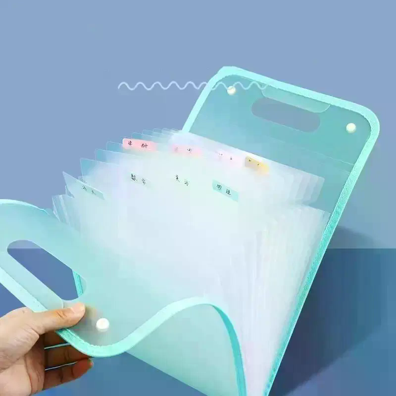 Cartella Portadocumenti Espand - Expandable Accordion File Folder 13 Pockets recensione e prezzo